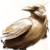 Avatar utilizator