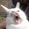 Avatar utilizator
